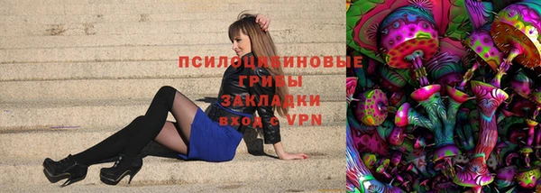 экстази Богданович