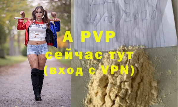 экстази Богданович