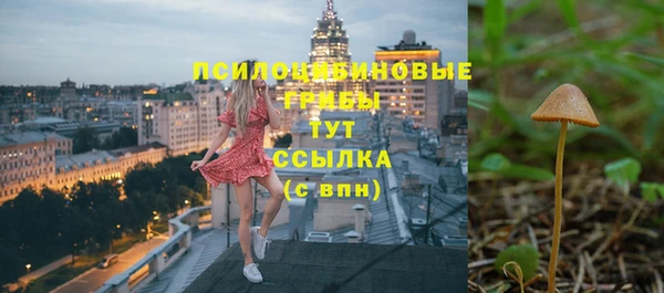 экстази Богданович