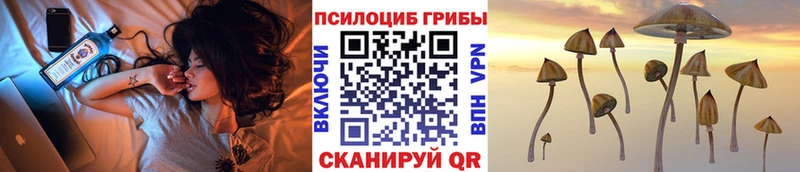 Псилоцибиновые грибы Magic Shrooms ссылка на мегу рабочий сайт Малая Вишера